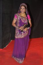 at Colors Golden Petal Awards 2013 in BKC, Mumbai on 14th Dec 2013